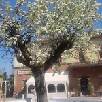 Grazzano Antica Stazione Affittacamere Grazzano Visconti