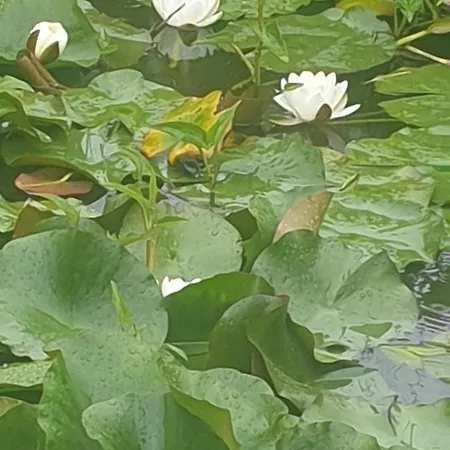 Gasthuis Grazzano Antica Stazione *