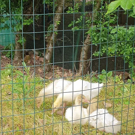 ゲストハウス Grazzano Antica Stazione