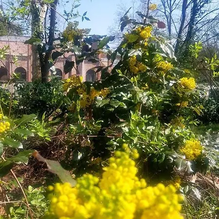Grazzano Antica Stazione