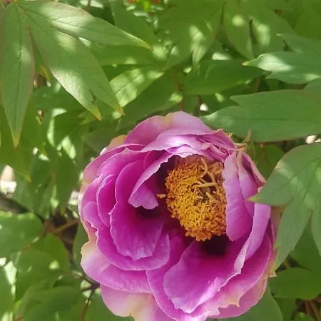 Grazzano Antica Stazione
