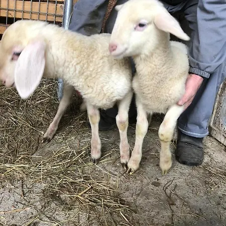 Grazzano Antica Stazione