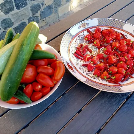 Grazzano Antica Stazione ゲストハウス *