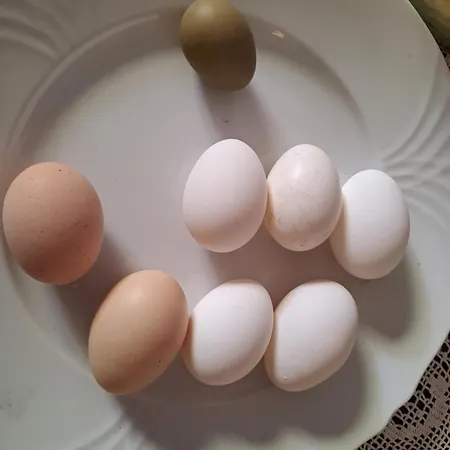 Gasthuis Grazzano Antica Stazione Grazzano Visconti