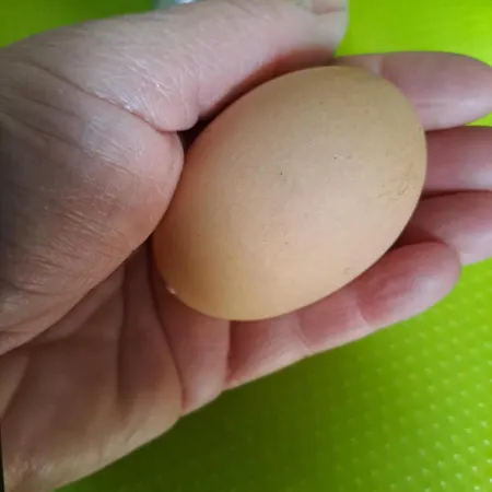 Grazzano Antica Stazione Grazzano Visconti