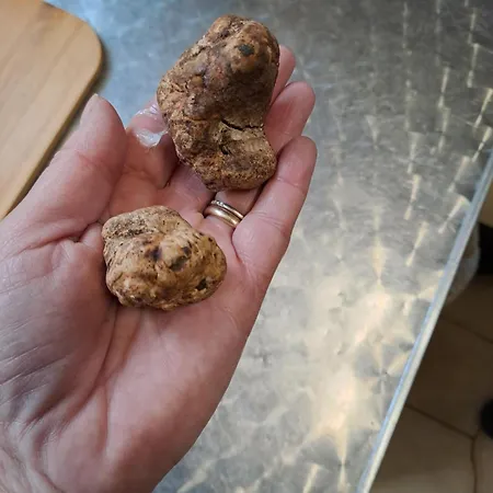 Grazzano Antica Stazione *