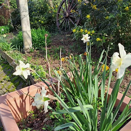 Grazzano Antica Stazione Gasthuis Grazzano Visconti