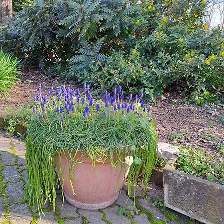 Grazzano Antica Stazione ゲストハウス