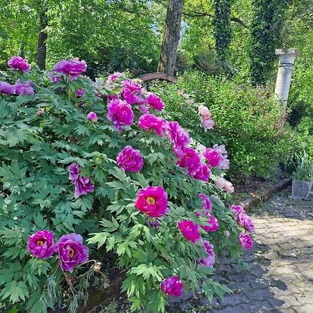 Grazzano Antica Stazione *