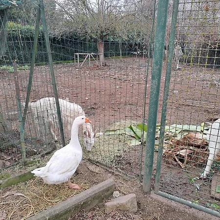Grazzano Antica Stazione * Grazzano Visconti
