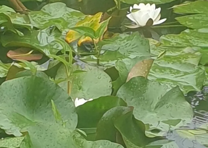 Πανσιόν Grazzano Antica Stazione *
