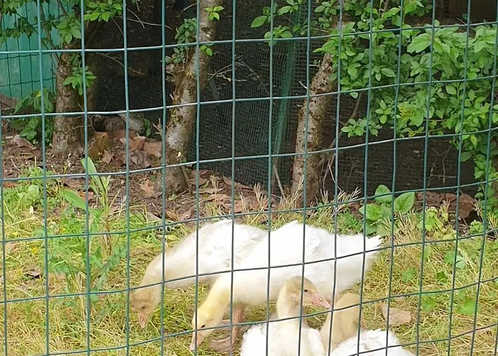 Πανσιόν Grazzano Antica Stazione