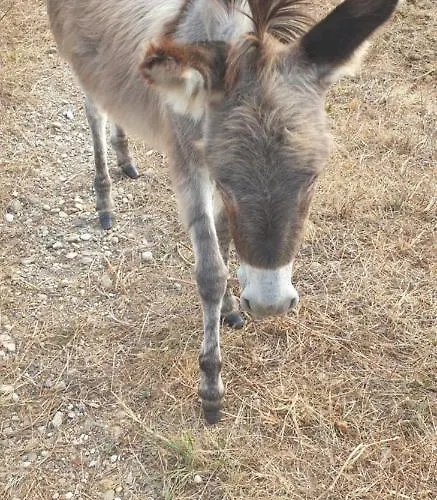 بيت ضيافة Grazzano Antica Stazione *