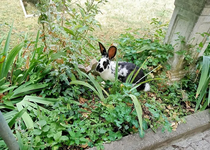 Grazzano Antica Stazione بيت ضيافة جرازانو فيسكونتي
