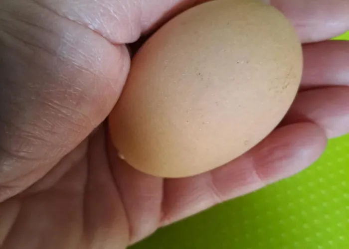 Grazzano Antica Stazione جرازانو فيسكونتي