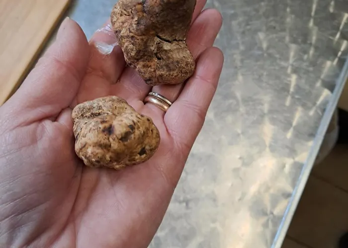 Grazzano Antica Stazione *