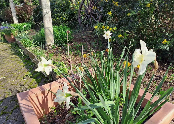 Grazzano Antica Stazione بيت ضيافة جرازانو فيسكونتي