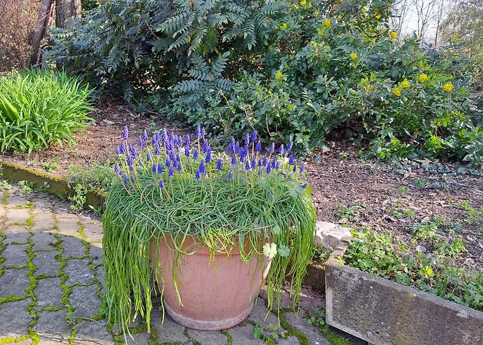 Grazzano Antica Stazione بيت ضيافة