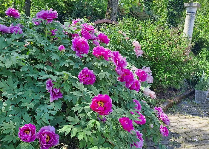 Grazzano Antica Stazione *
