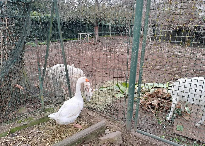 Grazzano Antica Stazione * Grazzano Visconti